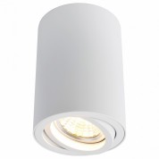 Накладной светильник Arte Lamp 1560 A1560PL-1WH